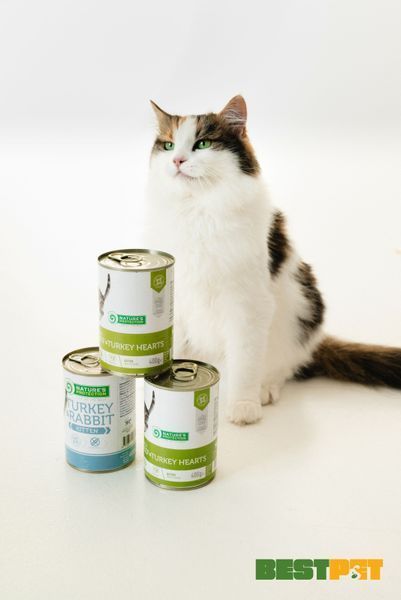 Влажный корм для котят с говядиной и сердцем индюшки Nature's Protection Kitten with Beef & Turkey hearts 400 г KIK45610 фото