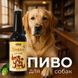 Пиво для собак зі смаком індички, 0.33 л, MODES ЗС000381 фото 2