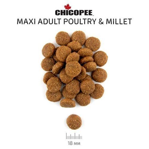 Сухий корм для дорослих собак птиця просо Chicopee CNL Maxi Adult Poultry & Millet 15 кг 015370 фото