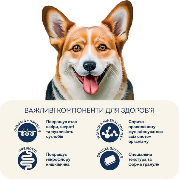 Сухий корм HOME FOOD здорова шкіра та блиск шерсті для дорослих собак середніх порід Індичка та лосось Healthy skin and shiny coat, 10 кг 1018100 фото