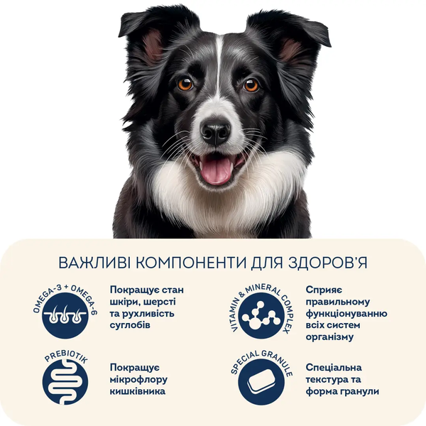 Сухий корм HOME FOOD для активних дорослих собак і юніорів середніх і великих порід &ldquo;Ягнятина з рисом&rdquo; For Active And Young Dogs 10 кг 1048100 фото