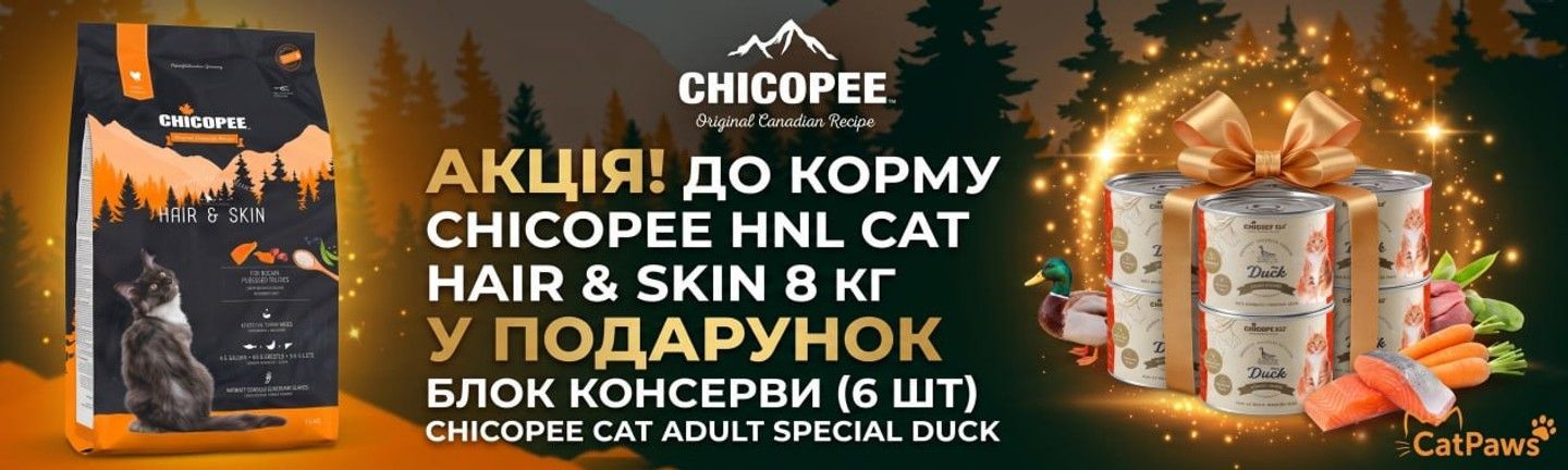 🔥 Акція* 