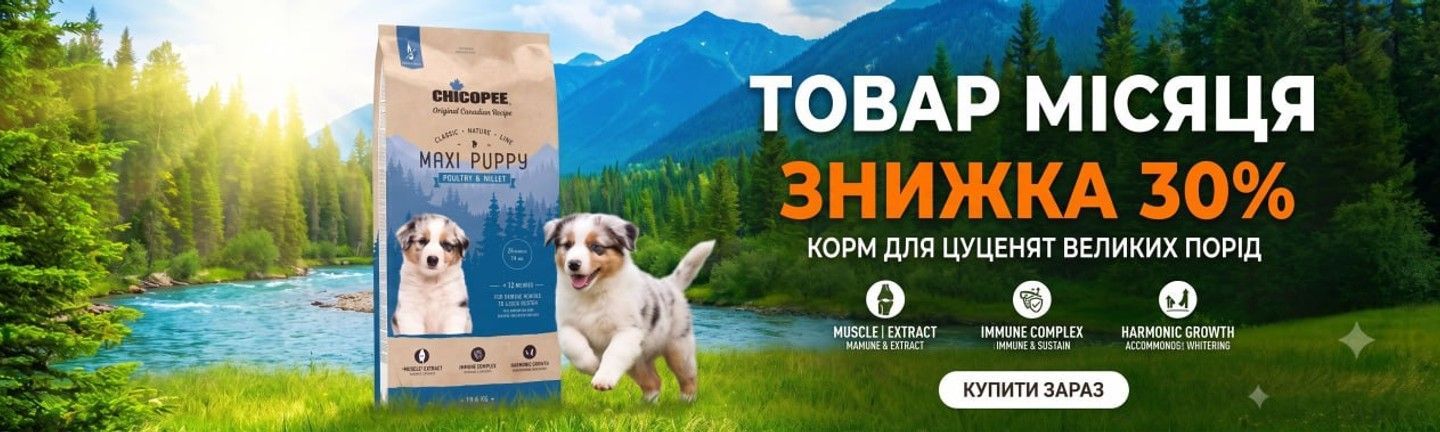 🔥 Акція* 