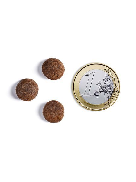 Беззерновой корм Ambrosia Grain free со свежей индейкой и кроликом для взрослых собак всех пород 12кг 5665 фото