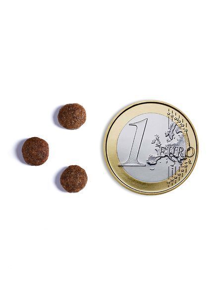 Беззерновий корм Ambrosia Grain free з куркою та свіжою рибою для цуценят всіх порід 2кг 5648 фото