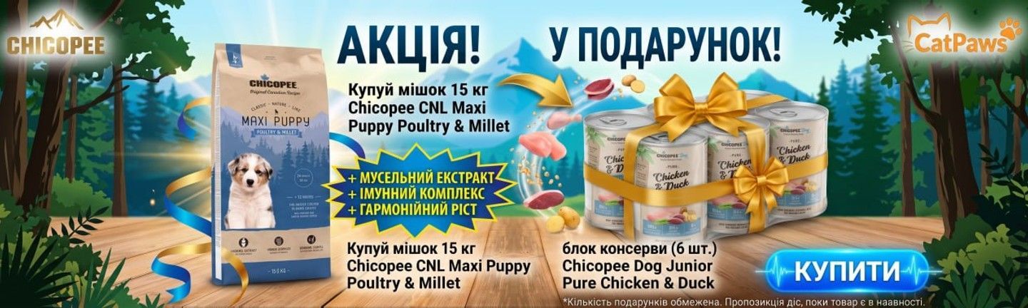 🔥 АКЦІЯ!