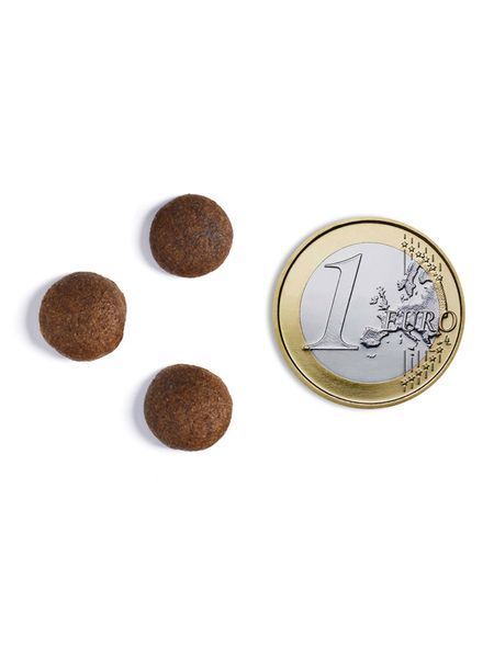Беззерновой корм Ambrosia Grain free со свежей индейкой и курицей для взрослых собак крупных пород 2 кг 5668 фото