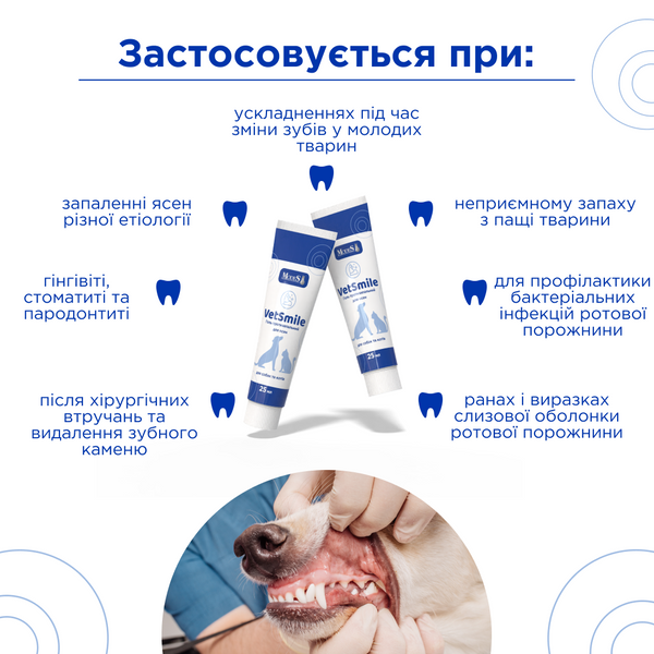 Протизапальний гель Ветсмайл (VetSmile) для ясен (для собак та котів), 25 мл, MODES ЗС000410 фото
