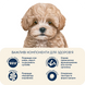 Сухой корм HOME FOOD для щенков мелких пород Ягненок и рис For puppies 1-12 months 1,6 кг 2127100 фото 4