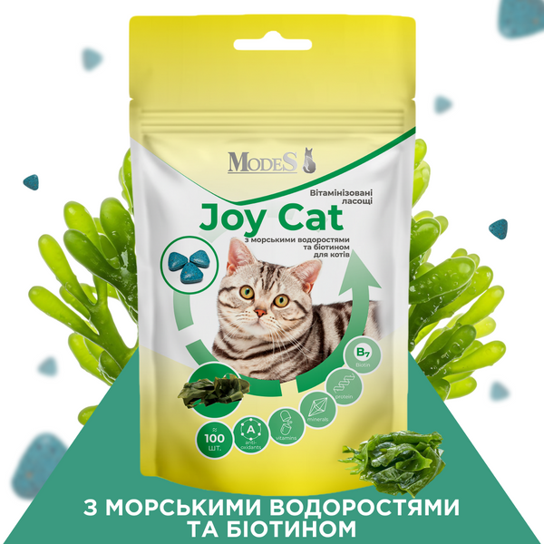Набір вітамінізованих ласощів для дорослих котів Joy Cat MIX &laquo;6 смаків&raquo;, 6 &times; 100 шт., MODES SET-JOYCAT-MIX-6 фото