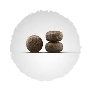 Сухий корм для дорослих собак для зниження та утримання ваги JOSERA Light & Vital Adult All Sizes 12,5 кг 50014799 фото