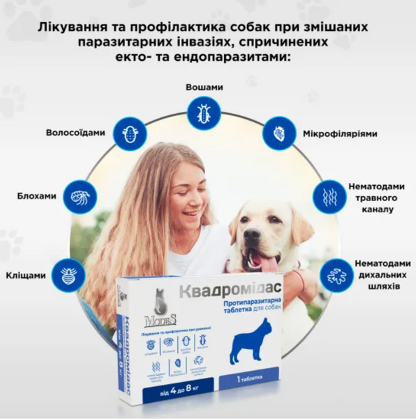 Протипаразитарні таблетки Квадромідас для собак 2-4 кг, 0,2 г, MODES (від бліх, кліщів, гельмінтів) ЗС000339 фото
