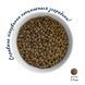 Cухий корм HOME FOOD здорова шкіра та блиск шерсті для дорослих собак малих порід Індичка та лосось Healthy skin and shiny coat 10 кг 1017100 фото 2
