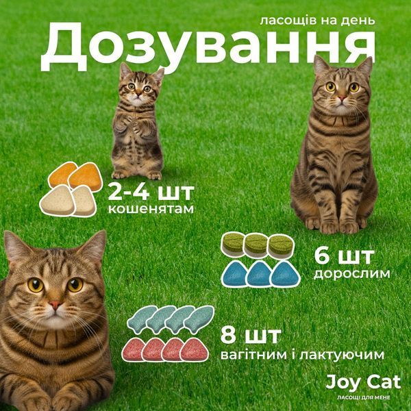 ModeS Joy Cat Вітамінізовані ласощі з фруктами , морськими водоростями, таурином та L-карнітином для кошенят 35 г ЗС000324 фото
