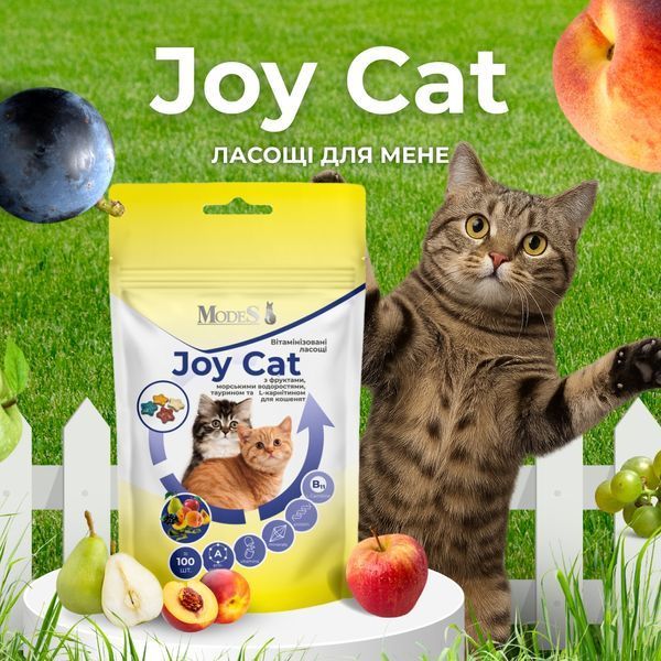 ModeS Joy Cat Вітамінізовані ласощі з фруктами , морськими водоростями, таурином та L-карнітином для кошенят 35 г ЗС000324 фото