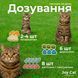 ModeS Joy Cat Вітамінізовані ласощі з фруктами , морськими водоростями, таурином та L-карнітином для кошенят 35 г ЗС000324 фото 4