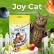 ModeS Joy Cat Вітамінізовані ласощі з фруктами , морськими водоростями, таурином та L-карнітином для кошенят 35 г ЗС000324 фото 2