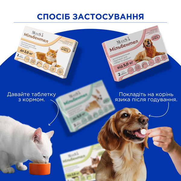 Антигельмінтні таблетки Мільбентел для цуценят і собак від 5,0 кг, MODES ЗС000373 фото