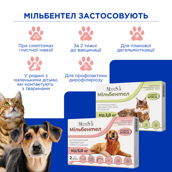 Антигельмінтні таблетки Мільбентел для цуценят і собак від 5,0 кг, MODES ЗС000373 фото