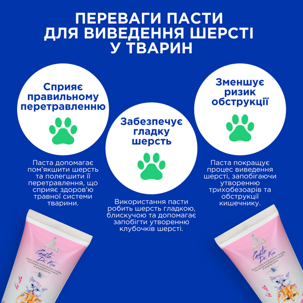 Паста Др. КІС Хеірболл (Paste Dr.KIS Hairball remedy) для виведення шерсті зі шлунку котів 100 г, MODES ЗС000294 фото