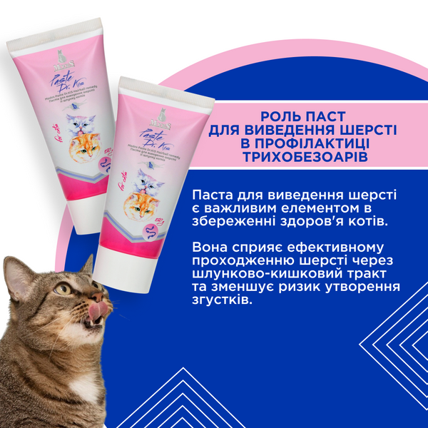 Паста Др. КІС Хеірболл (Paste Dr.KIS Hairball remedy) для виведення шерсті зі шлунку котів 100 г, MODES ЗС000294 фото
