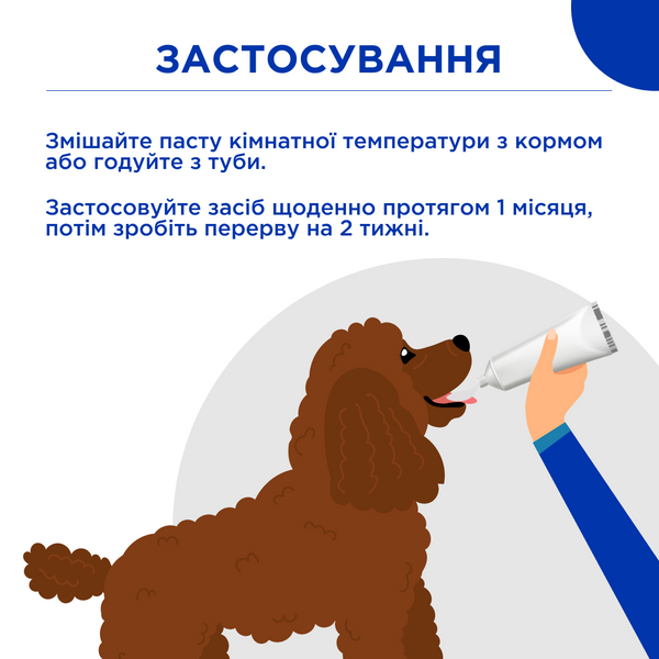 Паста Др. КІС Хеірболл (Paste Dr.KIS Hairball remedy) для виведення шерсті зі шлунку котів 100 г, MODES ЗС000294 фото