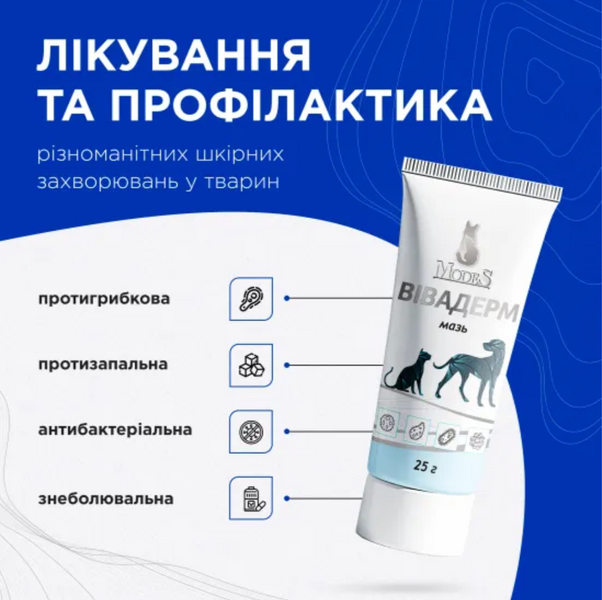 Вивадерм лечебная мазь, знеболююча, протигрибкова, протизапальна 25 г, MODES ЗС000338 фото