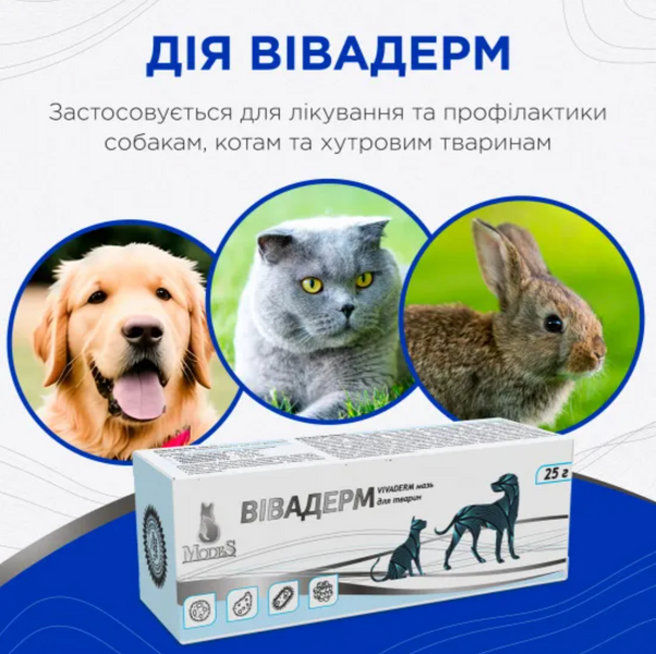 Вивадерм лечебная мазь, знеболююча, протигрибкова, протизапальна 25 г, MODES ЗС000338 фото