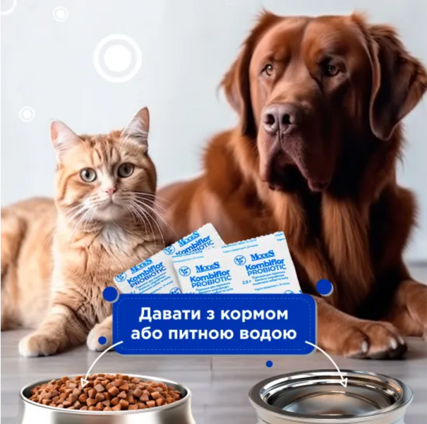 Комбіфлор пробіотик (Kombiflor Probiotic) порошок для підтримки балансу мікрофлори кишечника собак та котів MODES ЗС000319 фото