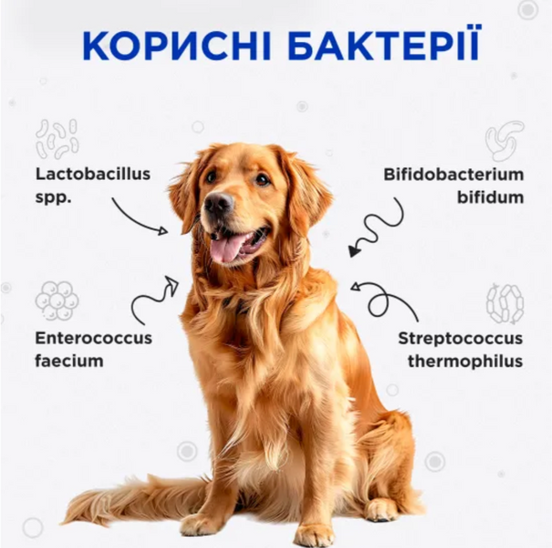 Комбіфлор пробіотик (Kombiflor Probiotic) порошок для підтримки балансу мікрофлори кишечника собак та котів MODES ЗС000319 фото