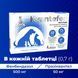 Квантефен (Kvantefen) антигельмінтні таблетки для собак та котів 1 таб на 10кг (4 табл.), MODES (від бліх, від кліщів, від гельмінтів) ЗС000337 фото 3