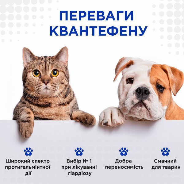 Квантефен (Kvantefen) антигельмінтні таблетки для собак великих порід, 1 таб на 20кг (4 табл.), MODES (від бліх, від кліщів, від гельмінтів) ЗС000380 фото