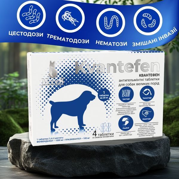 Квантефен (Kvantefen) антигельмінтні таблетки для собак великих порід, 1 таб на 20кг (4 табл.), MODES (від бліх, від кліщів, від гельмінтів) ЗС000380 фото