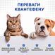 Квантефен (Kvantefen) антигельмінтні таблетки для собак великих порід, 1 таб на 20кг (4 табл.), MODES (від бліх, від кліщів, від гельмінтів) ЗС000380 фото 5